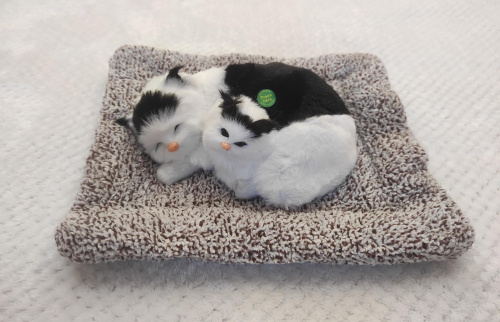 Купить "Кошка с котенком" во Сергиеве Посад фото 2 "Кошка с котенком" во Сергиеве Посад фото 2